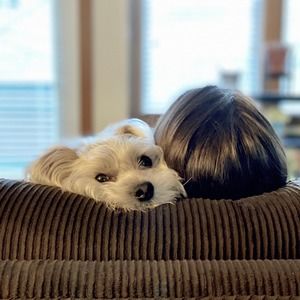 Meet your Posher, April